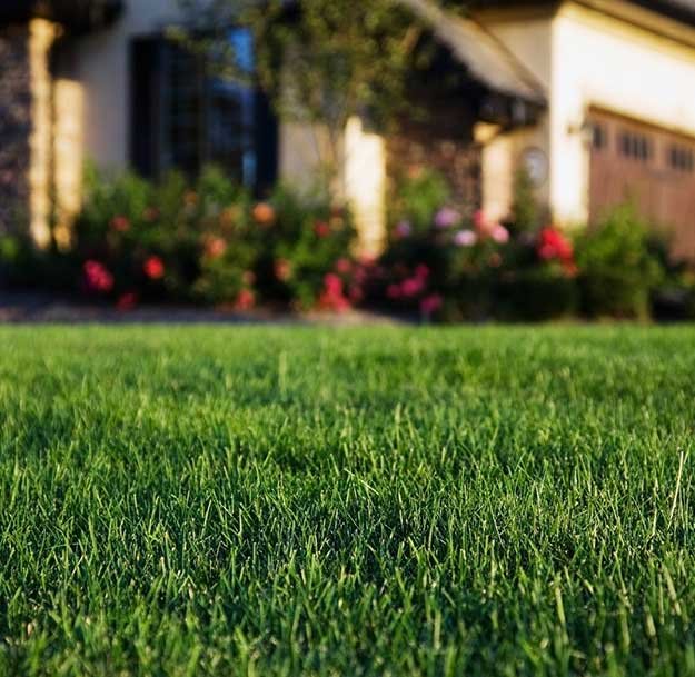 weekly-lawn-maintenance-01